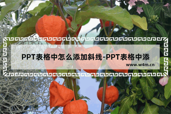 PPT表格中怎么添加斜线-PPT表格中添加斜线的方法