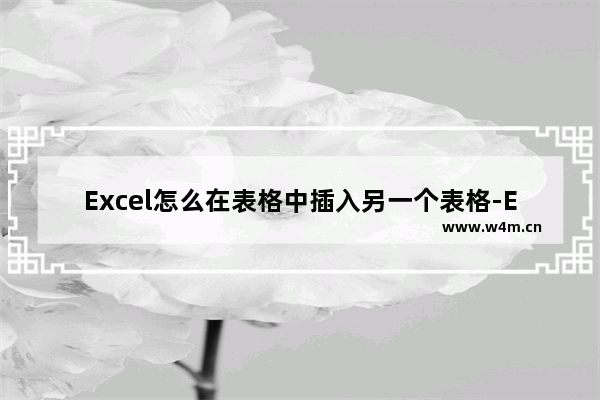 Excel怎么在表格中插入另一个表格-Excel在表格中插入另一个表格的方法