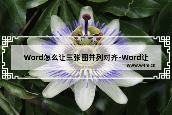 Word怎么让三张图并列对齐-Word让三张图并列对齐的方法