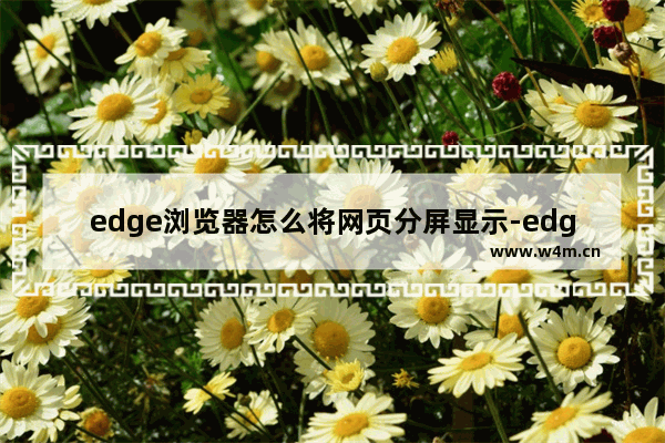 edge浏览器怎么将网页分屏显示-edge浏览器进行分屏显示的方法