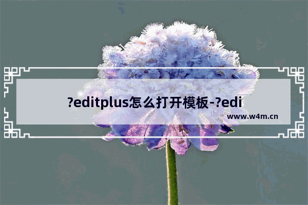 ?editplus怎么打开模板-?editplus添加代码文件模板的方法