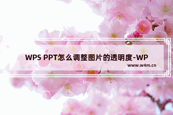 WPS PPT怎么调整图片的透明度-WPS PPT设置图片透明度的方法