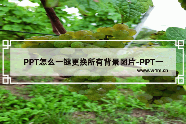 PPT怎么一键更换所有背景图片-PPT一键更换所有背景图片的方法