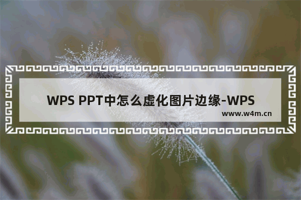 WPS PPT中怎么虚化图片边缘-WPS PPT中将图片边缘模糊的方法