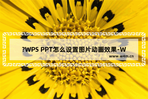 ?WPS PPT怎么设置图片动画效果-WPS演示文稿给图片添加动画效果的方法教程