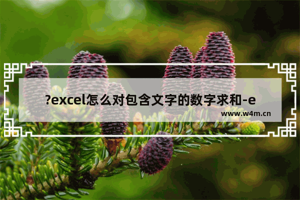 ?excel怎么对包含文字的数字求和-excel计算带有文字数据总和的方法