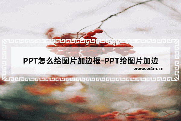 PPT怎么给图片加边框-PPT给图片加边框的方法