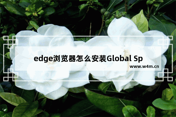 edge浏览器怎么安装Global Speed插件-edge浏览器下载Global Speed插件的方法