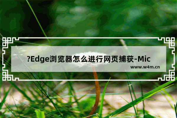 ?Edge浏览器怎么进行网页捕获-Microsoft edge浏览器中进行截图的方法教程