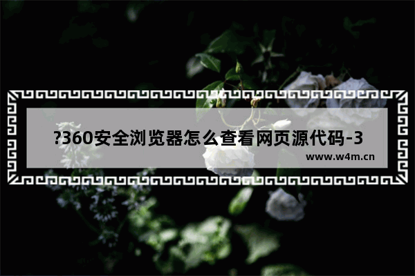 ?360安全浏览器怎么查看网页源代码-360安全浏览器查看源代码的方法教程