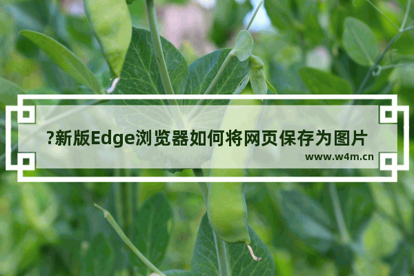 ?新版Edge浏览器如何将网页保存为图片-Microsoft edge将网页保存为图片格式的方法教程