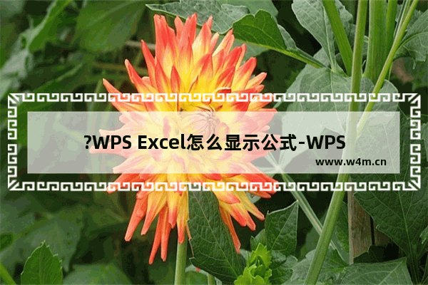 ?WPS Excel怎么显示公式-WPS表格中显示函数公式方法教程