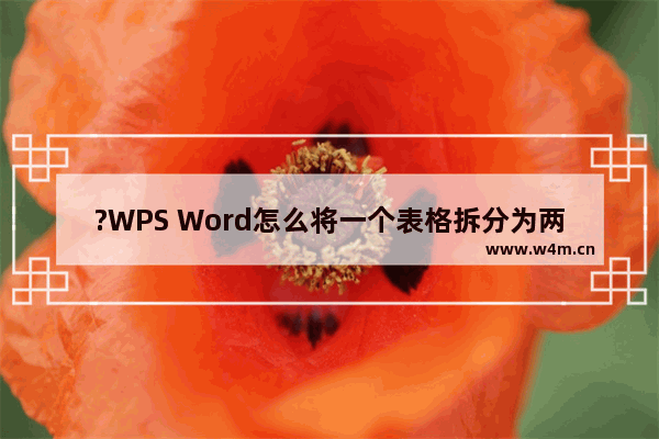 ?WPS Word怎么将一个表格拆分为两个表格-WPS文档中拆分表格的方法教程