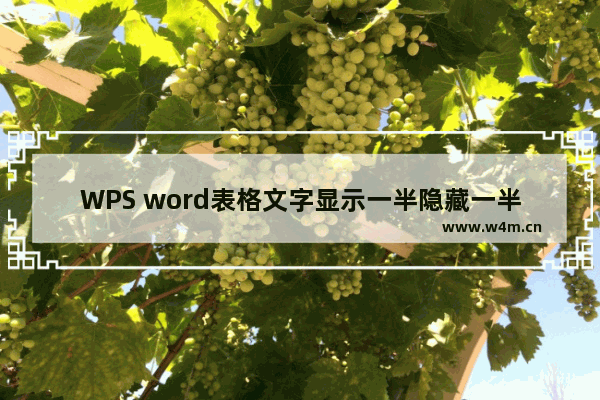 WPS word表格文字显示一半隐藏一半怎么解决-WPS word表格文字显示一半隐藏一半的解决方法