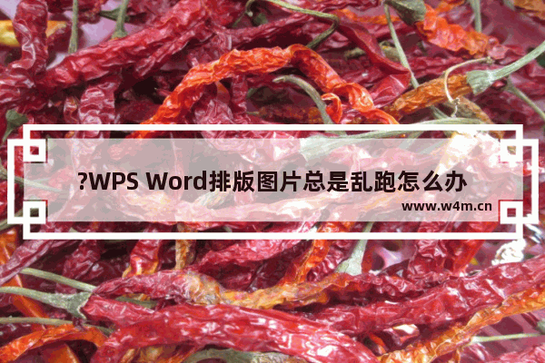 ?WPS Word排版图片总是乱跑怎么办-WPS文档解决图片位置乱跑的方法教程