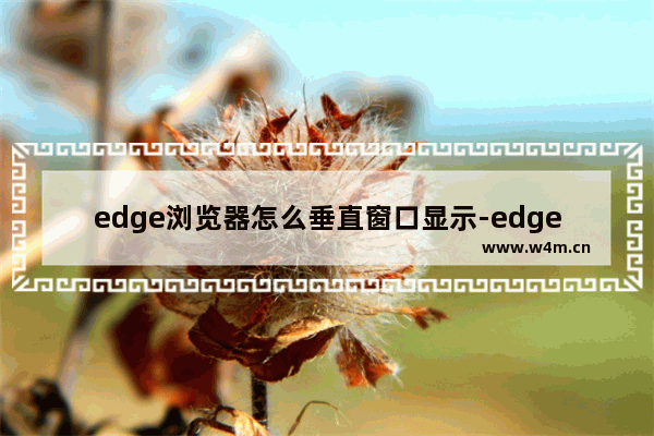 edge浏览器怎么垂直窗口显示-edge浏览器设置标签页垂直显示的方法