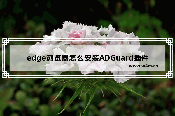 edge浏览器怎么安装ADGuard插件-edge浏览器安装ADGuard广告拦截器插件的方法