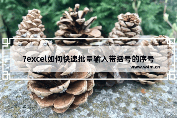 ?excel如何快速批量输入带括号的序号-excel批量输入带括号序号的方法