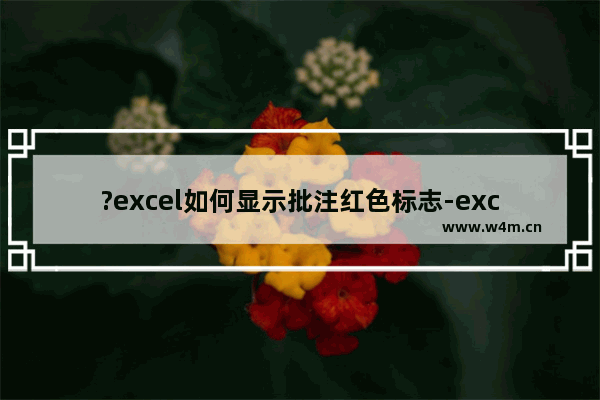 ?excel如何显示批注红色标志-excel显示批注标识符的方法