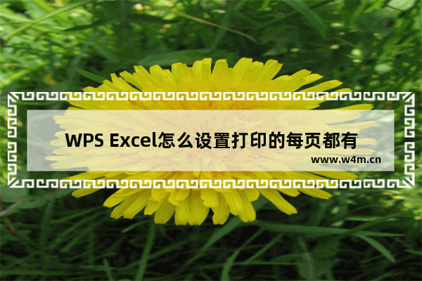 WPS Excel怎么设置打印的每页都有标题-WPS表格设置打印时每页都有标题的方法教程