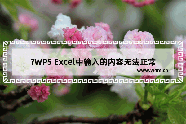 ?WPS Excel中输入的内容无法正常显示怎么办-WPS表格解决输入的内容变成#图标的方法教程