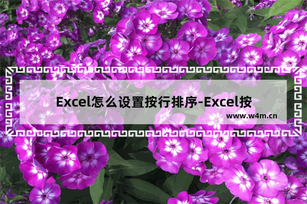 Excel怎么设置按行排序-Excel按行排序的方法