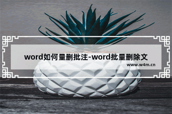 word如何量删批注-word批量删除文档中批注的方法