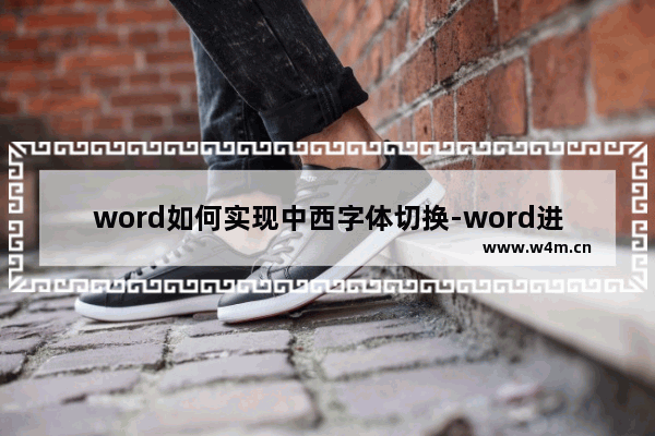 word如何实现中西字体切换-word进行中文字体和西文字体切换的方法