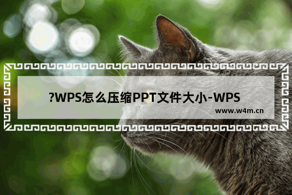 ?WPS怎么压缩PPT文件大小-WPS PPT文件太大压缩得小一点的方法教程