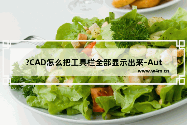 ?CAD怎么把工具栏全部显示出来-AutoCAD中将功能区全部显示出来的方法教程