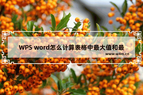 WPS word怎么计算表格中最大值和最小值-WPS Word中快速求最大值和最小值的方法