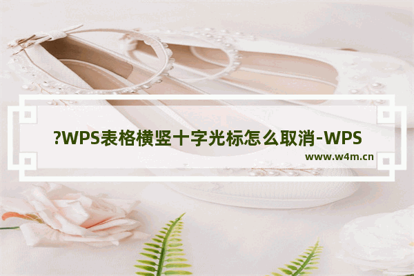 ?WPS表格横竖十字光标怎么取消-WPS Excel取消点击单元格时出现的十字颜色的方法教程