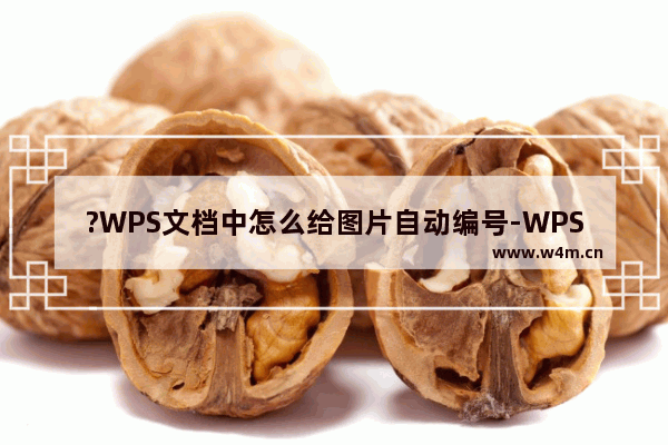 ?WPS文档中怎么给图片自动编号-WPS Word设置图片自动编号的方法教程