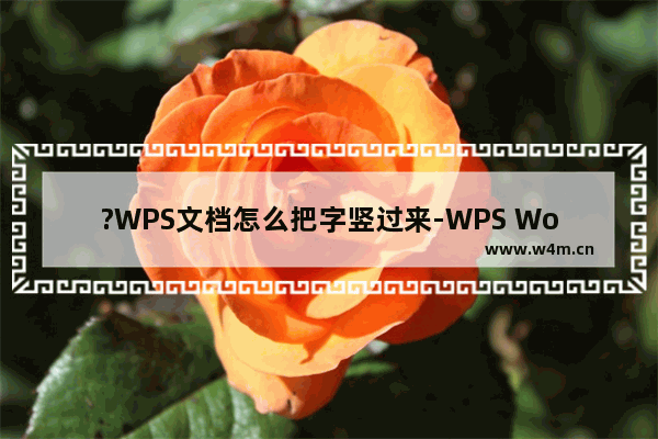 ?WPS文档怎么把字竖过来-WPS Word中让文字竖起来显示的方法教程