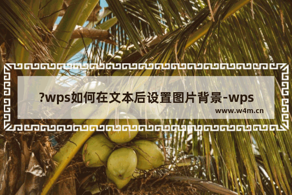 ?wps如何在文本后设置图片背景-wps设置页面图片背景的方法