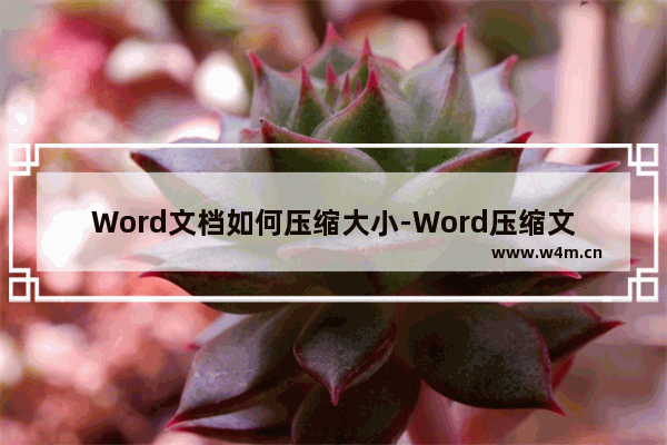 Word文档如何压缩大小-Word压缩文档大小的方法