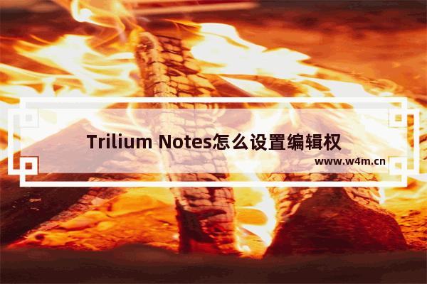 Trilium Notes怎么设置编辑权限-Trilium Notes设置编辑权限的方法