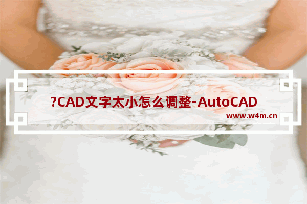 ?CAD文字太小怎么调整-AutoCAD中调整文字大小的方法教程