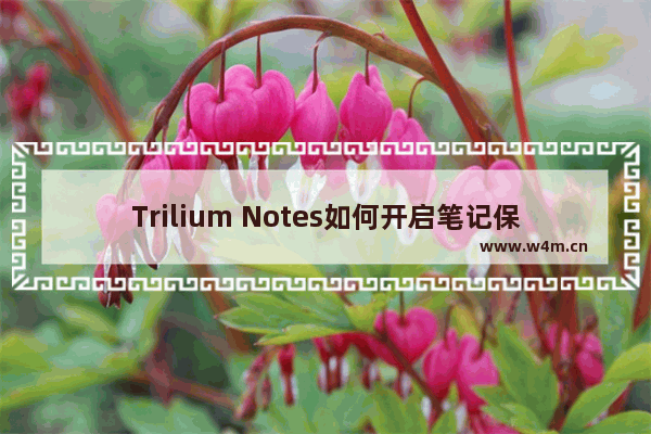 Trilium Notes如何开启笔记保护功能-Trilium Notes开启笔记保护功能的方法