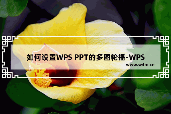 如何设置WPS PPT的多图轮播-WPS PPT设置图片轮播的方法