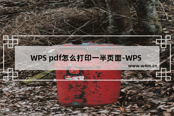 WPS pdf怎么打印一半页面-WPS PDF文档进行区域打印的方法