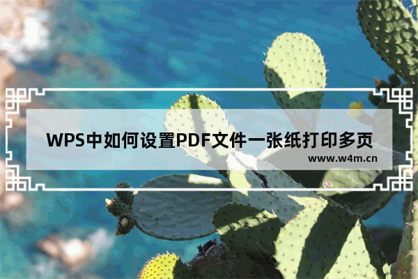 WPS中如何设置PDF文件一张纸打印多页-WPS PDF文件设置一张多页打印的方法