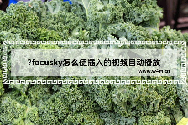 ?focusky怎么使插入的视频自动播放-?focusky设置插入的视频自动播放的方法