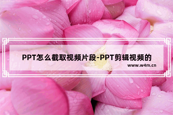 PPT怎么截取视频片段-PPT剪辑视频的方法