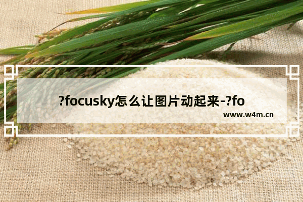 ?focusky怎么让图片动起来-?focusky设置图片动画的方法