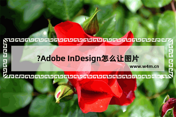 ?Adobe InDesign怎么让图片变浅-?InDesign让图片颜色变浅的方法