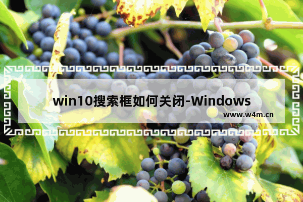 win10搜索框如何关闭-Windows10系统取消左下方的搜索图标的方法教程