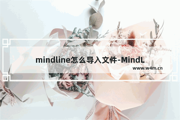 mindline怎么导入文件-MindLine思维导图导入文件的方法