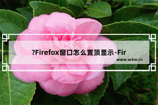 ?Firefox窗口怎么置顶显示-Firefox火狐浏览器指定窗口不被遮挡的方法教程