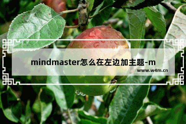 mindmaster怎么在左边加主题-mindmaster在左边添加主题的方法